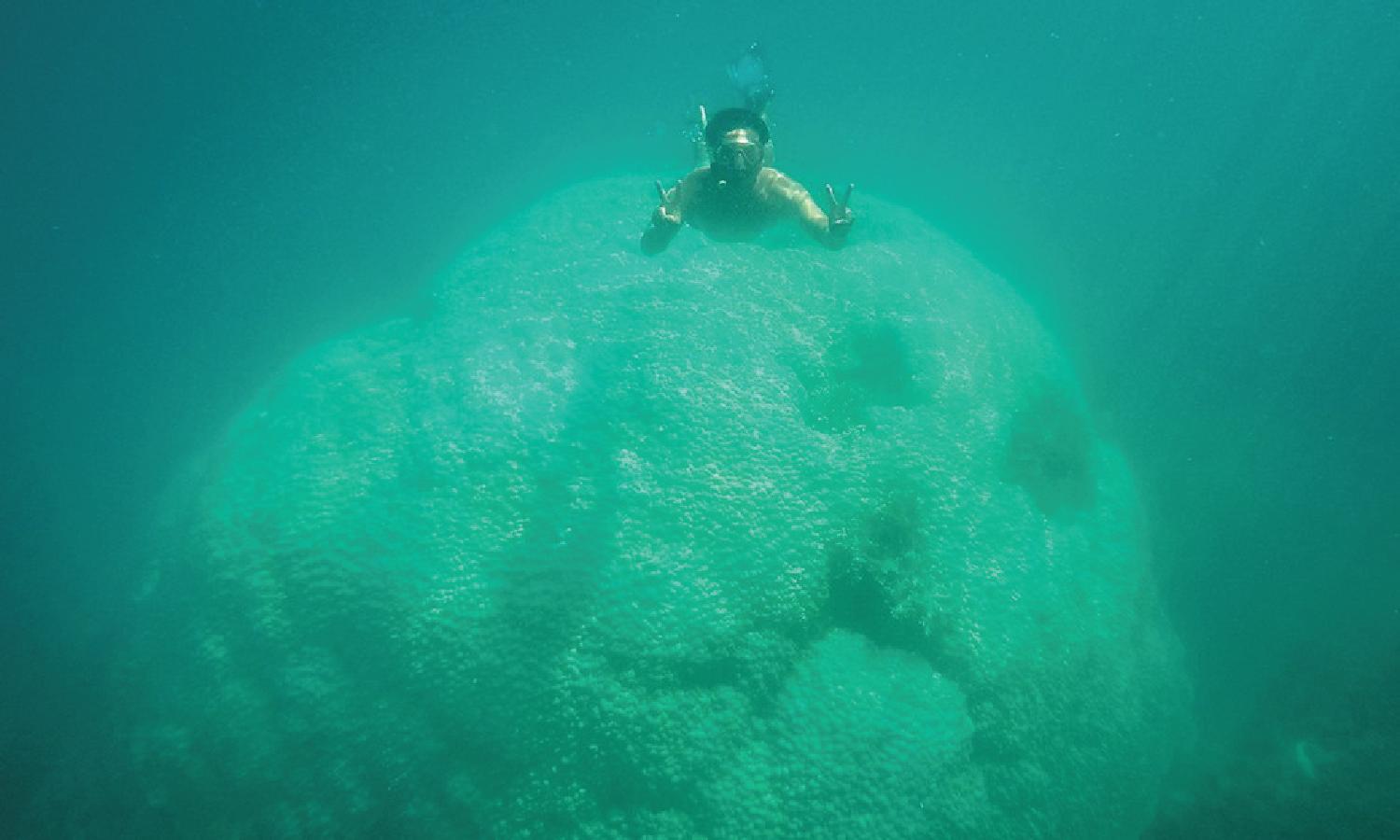 cùng superdong lưu ngay những điểm lặn san hô đẹp ngất ngây mùa hè này